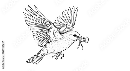 Bird flying with twigs in beak, building nest with wings spread wide in flight. featuring winged creature, avian, illustration with line art and
