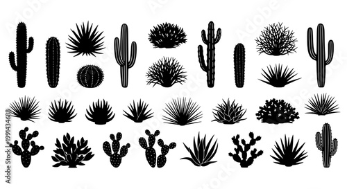 Cacti and succulents black silhouette set with various desert plants and spiky textures on white background