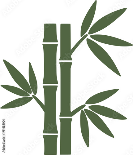 bamboo stalk leaf