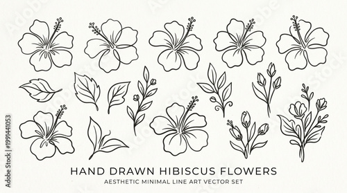 Hand drawn abstract minimal element, hibiscus flowers vector set. Aesthetic contemporary line art.