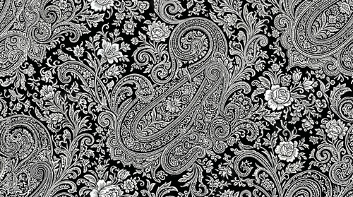 Intricate black and white paisley textile pattern with florals and ornate swirls for graphic design.