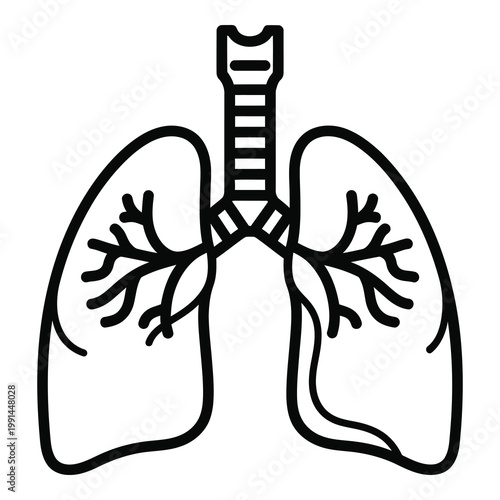 Human lungs with trachea and bronchi illustration  simple medical icon icon