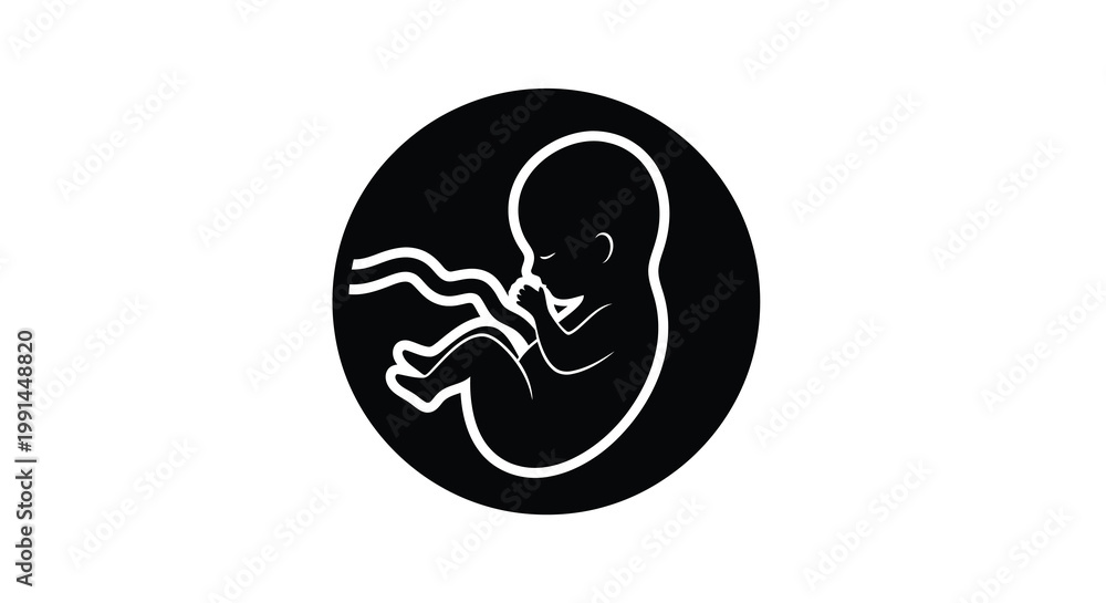Obraz premium A white outline of a fetus inside a black circular shape