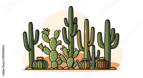 Prickly Pear Cactus Plants Desert.