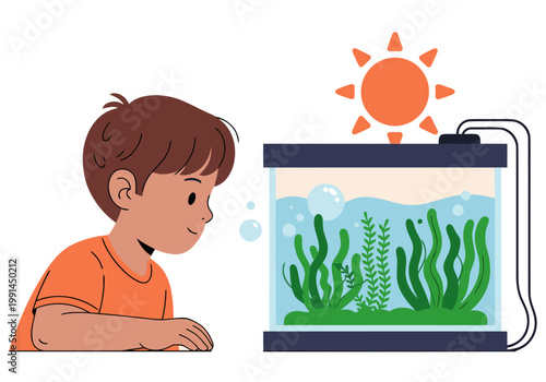A curious boy observes a freshwater aquarium with algae and sunlight. Bright, educational illustration for children's science learning. Clear composition, appealing design.