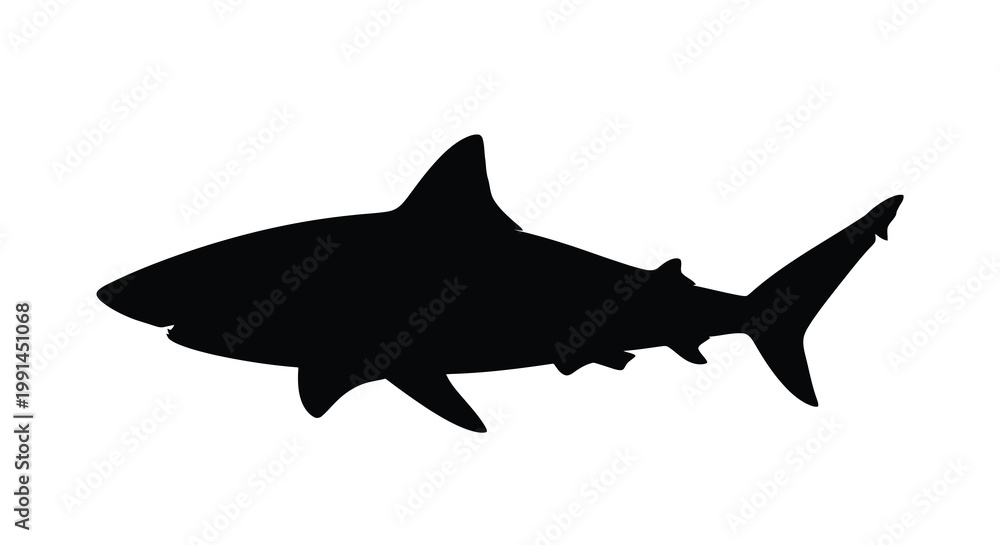 Obraz premium A striking black silhouette of a large shark swimming gracefully