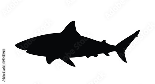 A striking black silhouette of a large shark swimming gracefully