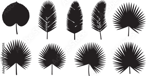 Tropical leaf silhouette set for nature and botanical design. Transparency background.