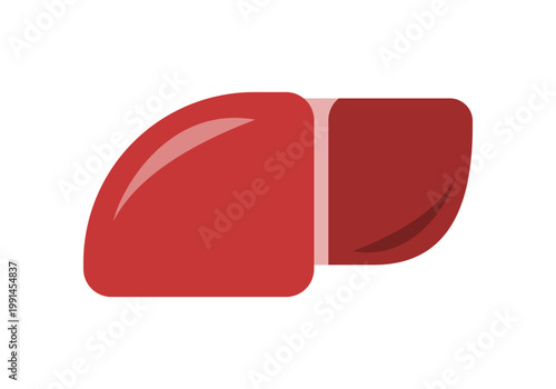 Human liver medical icon flat vector design