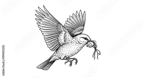 Bird illustration with detailed feathers, vintage engraving style, flying motion and beak focus on white background for print design