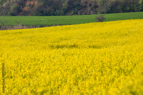 학원농장 풍경 이야기