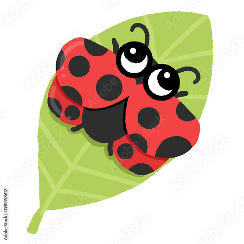 cartoon lady bug