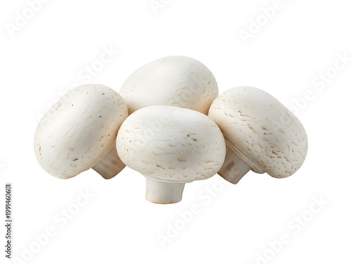 Four white button mushrooms with textured caps and short stems together transparent background
