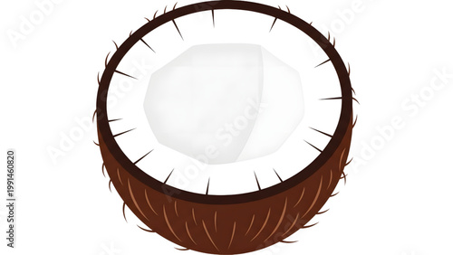 Coconut half shell with white flesh and brown husk isolated on white background