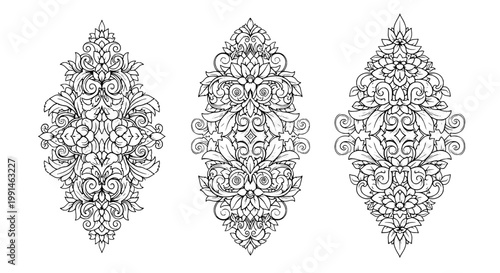 Ornamental designs set with intricate floral patterns and swirls featuring decorative, art, vector with illustration and black and white elements for