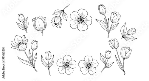 Flower doodle botanical line art with tulip buds and blossom petals for greeting cards, labels, and spring decor