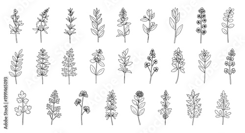 Flower botanical line icons set with delicate stems, doodle leaves, and hand-sketched details for stickers and prints