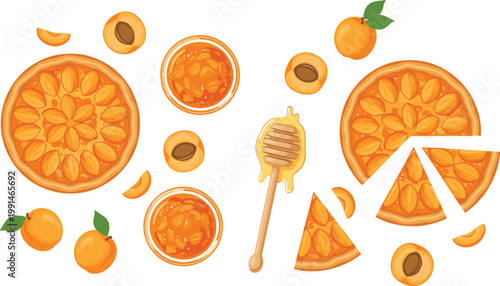 Vector illustration of apricot tarts, fresh fruits, jam bowls, and honey dipper arranged in decorative food composition