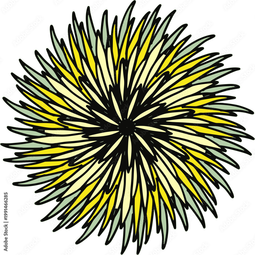Obraz premium round yellow and black flower, bunch of flower isolated on white background, Symmetrical stylized flower 