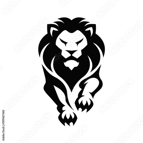lion black and white