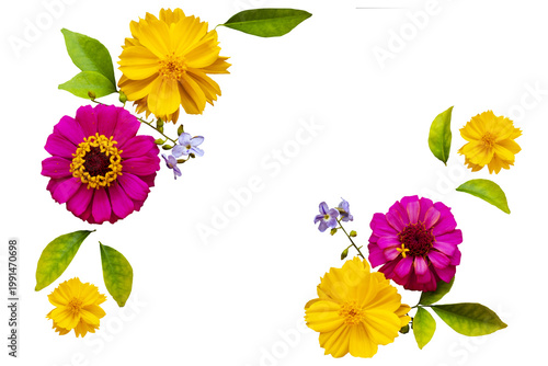 colorful flowers cosmos, zinnia elegans local floral arrangement flat lay postcard style 