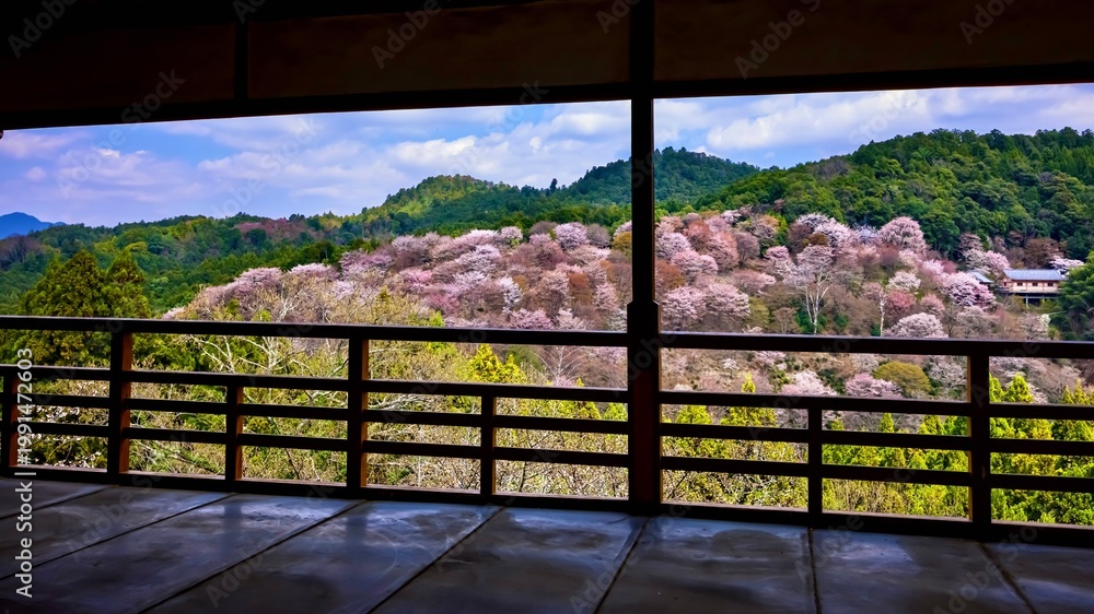 Fototapeta premium 廃墟から花見