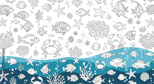 Detailed undersea background illustration divided into two sections showing a variety of fish, crabs, and corals.