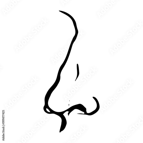 Hand-drawn minimalist human nose profile. Vector illustration of a facial feature in a simple sketch style, suitable for medical, beauty, or character design concepts
