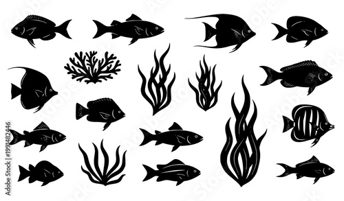 Fish and seaweed silhouettes vector marine life ocean illustration set