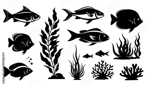 Retro marine silhouette vector fish seaweed ocean summer illustration