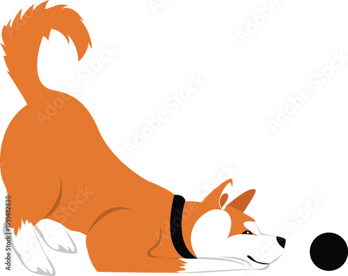 Vector illustration of a playful Shiba Inu or Akita dog in a play bow position with a ball.