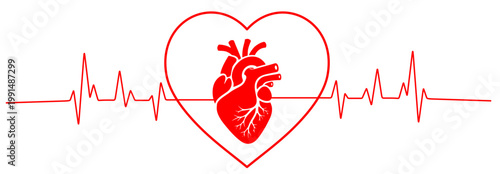 a line drawing that forms a heartbeat or pulse pattern and a heart and heart image in the middle with a white background. vector image for world blood donor day