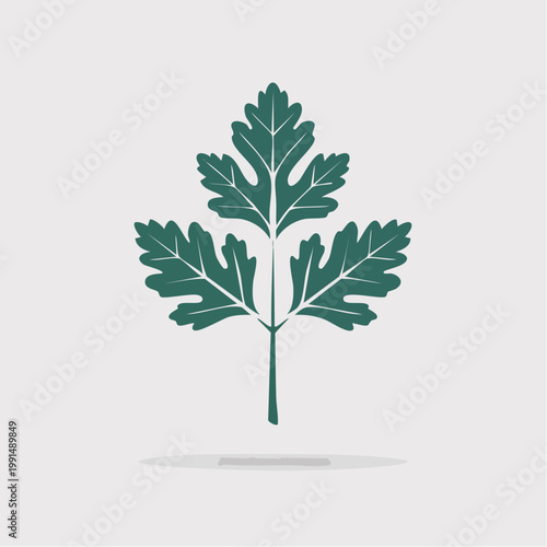 Stylized green parsley leaf icon