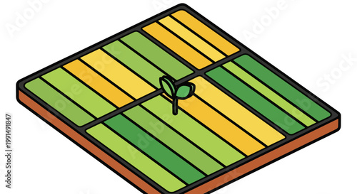 Isometric view of seedling growing in tilled soil in a divided field illustration organic agriculture in vibrant green and yellow