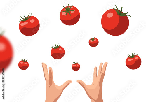 Hands juggling multiple ripe red tomatoes in the air.