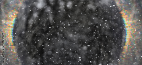 Winter park, abstract background, snow, blurred trees, festive backdrop