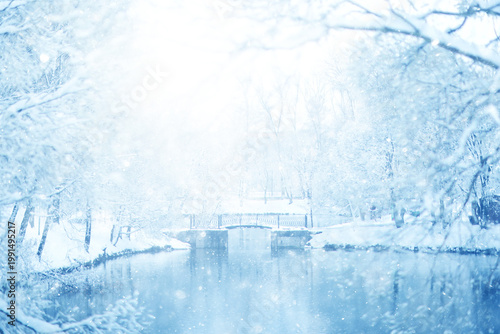 Snowy winter background in the park, blurred abstract seasonal backdrop, snowflake texture, light landscape background