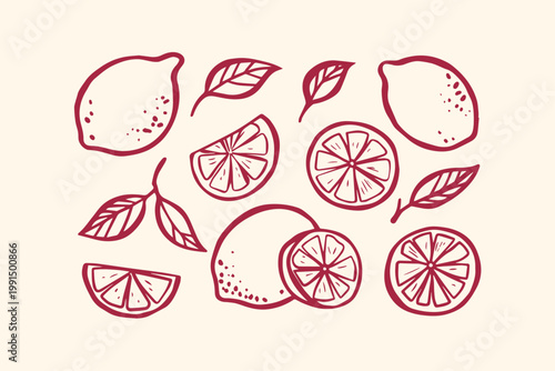 Hand-drawn illustration of assorted lemons and citrus slices with leaves vitamin c citrus fruits food ingredient citrus slice health food citrus rind illustration vitamin c beverage