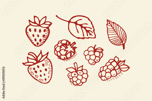 Berries and leaves: strawberries raspberries grapes leaves with hand drawn white background strawberries raspberries collection illustration isolated botanical nutrition vitamins
