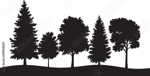Mixed Tree Silhouette Collection with Pine and Leafless Branch Trees Vector.  Forest Landscape Vector with Mixed Trees