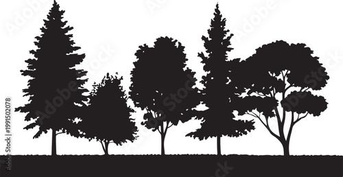 Mixed Tree Silhouette Collection with Pine and Leafless Branch Trees Vector.  Forest Landscape Vector with Mixed Trees