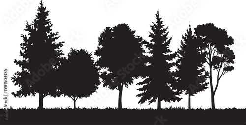 Mixed Tree Silhouette Collection with Pine and Leafless Branch Trees Vector.  Forest Landscape Vector with Mixed Trees