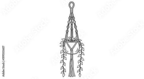 A macrame plant hanger with a potted plant