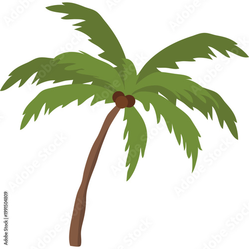 Palm Tree Illustration