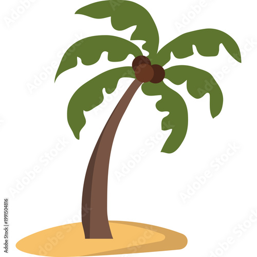 Palm Tree Illustration