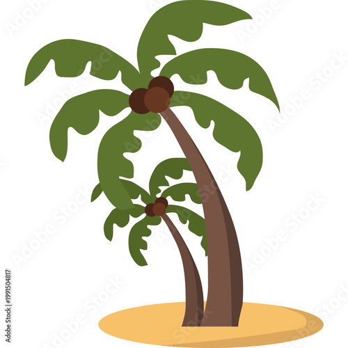 Palm Tree Illustration