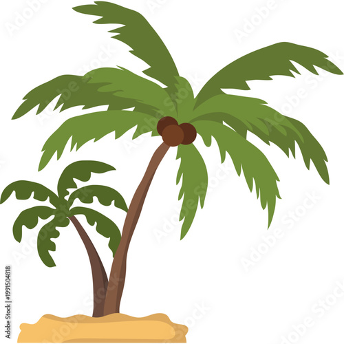 Palm Tree Illustration