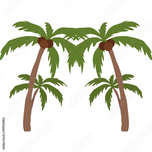 Palm Tree Illustration
