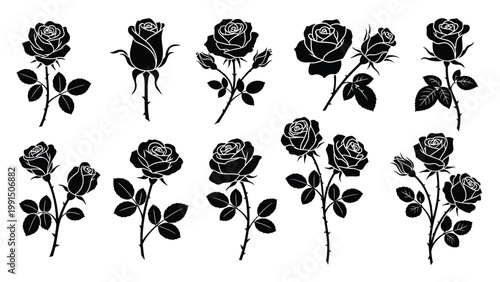 Elegant rose flowers with stems and leaves black silhouette vector set.