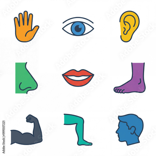 Collection of Human Body Part Icons Representing Senses and Anatomy.